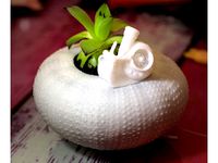 Sea urchin planter by Piezoid
