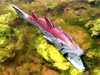 Barracuda by ASLLEXICON