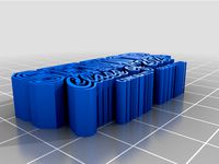 2021 senior's by TeamFoxy666