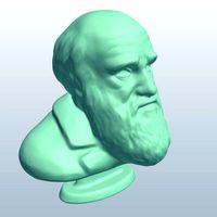 bust Darwin v1