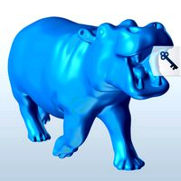 Hippopotamus charging v1