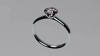 Basic Ring