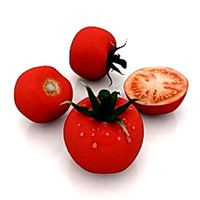 Tomatoes