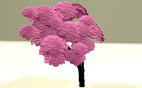 Sakura tree