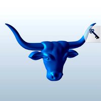 Longhorn V1