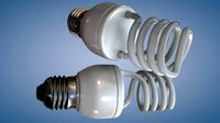 Fluorescent Light Bulb