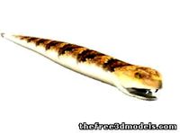 Rattlesnake