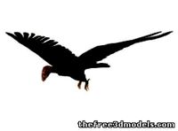 Condor
