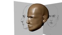 HUMAN HEAD