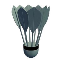 shuttlecock v1