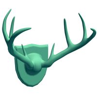 MountedWhiteTailedDeerAntlers V2