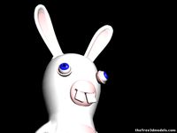 Ravin Rabbit