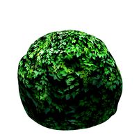 Round Box Hedge v1