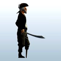 Pirate Captain v1