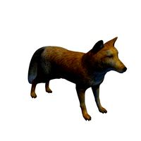 Tibetan Hill Fox v1