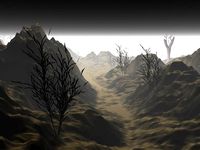 terrain