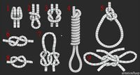 9 knots