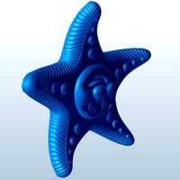 Starfish baby happy v1