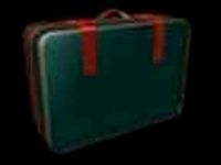 Luggage