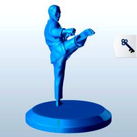 Karate Roundhouse Kick v1