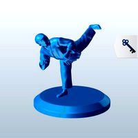 Karate Back kick v1