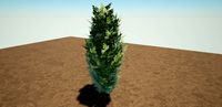Low Poly Tree Small Linden