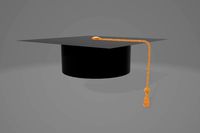 Graduation Hat