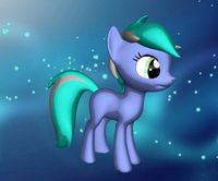 Pony