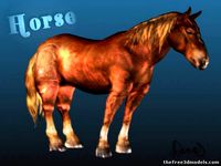 Horse