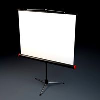 Projector Screen