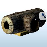 Hollowed Log V1