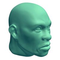 Fearful Facial Expression V2