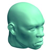 Sad Facial Expression V2