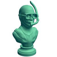 BustDiver with Snorkel v1