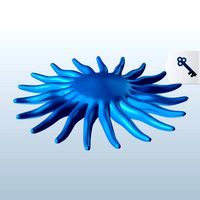 Sunflower Star starfish v1