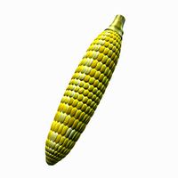 CornonCob v01