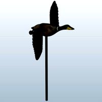 Duck v2