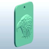 Bald Eagle Head v1