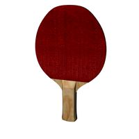 Pingpong paddle v1
