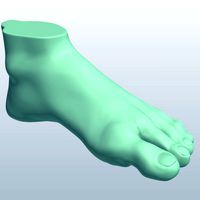 foot v1