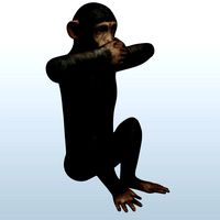 speak No Evil Monkey v2