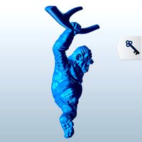 Monkey swinging branch V1