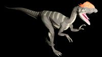 DILOPHOSAURUS