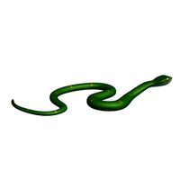 Waglers Pit Viper v1