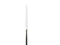 Medieval spear
