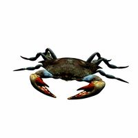 crab V2