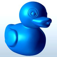 Rubber duck v1