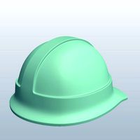 Forestry Safety Hard Hat V1