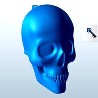 Skull v1