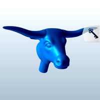 Longhorn head v1